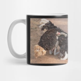 Ostrich Display Mug